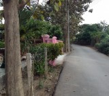 ขายที่ดิน.ฝางเชียงใหม่ทำรีสอร์ต21ไร่ใกล้สวนสม้ธนาธร