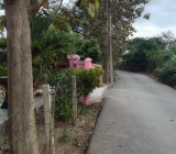 ขายที่ดิน.ฝางเชียงใหม่ทำรีสอร์ต21ไร่ใกล้สวนสม้ธนาธร