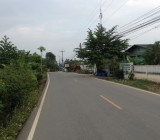 ขายที่ดิน.ฝางเชียงใหม่ทำรีสอร์ต21ไร่ใกล้สวนสม้ธนาธร