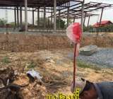 ขายที่ดินขอนแก่นบึงหนองโคตรตลาดคำไฮบ้านเป็ดใกล้สนามบินขอนแก่น