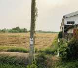 ขายที่ดินไทรน้อย จ.นนทบุรี ซอยวัดลาดปลาดุก12ไร่ 0