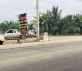 ขายที่ดินไทรน้อย จ.นนทบุรี ซอยวัดลาดปลาดุก12ไร่