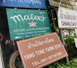 ขายที่ดิน3ไร่ถมแล้ว อ.เชียงดาว จ.เชียงใหม่ใกล้องค์การโทรศัพท์เชียงดาว