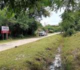 ขายที่ดินอำเภอชนบท จังหวัดขอนแก่น ติดหนองกองแก้ววัดศรีบุญเรือง 1ไร่ 
