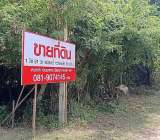 ขายที่ดินอำเภอชนบท จังหวัดขอนแก่น ติดหนองกองแก้ววัดศรีบุญเรือง 1ไร่ 