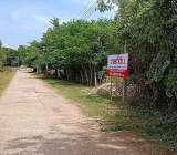 ขายที่ดินอำเภอชนบท จังหวัดขอนแก่น ติดหนองกองแก้ววัดศรีบุญเรือง 1ไร่ 