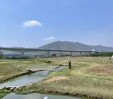 ขายที่ดินติดโรงเรียนนายเรืออากาศมวกเหล็ก มอมะเกลือ8ไร่