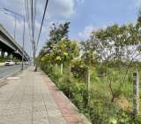 ขายที่ดินติดถนนวิภาวดีรังสิต7ไร่ ใกล้สนามบินดอนเมือง
