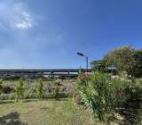 ขายที่ดินติดถนนวิภาวดีรังสิต7ไร่ฝั่งสนามบินดอนเมือง 0